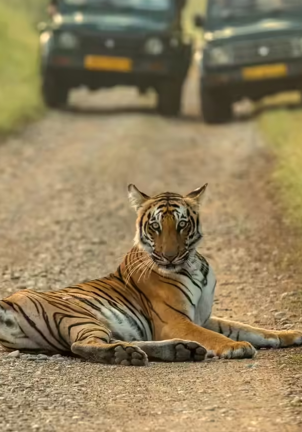 Corbett Landscape